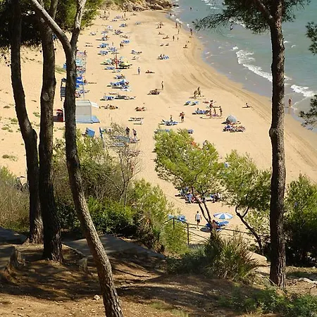 Apartamento Intersalou Catalunya *